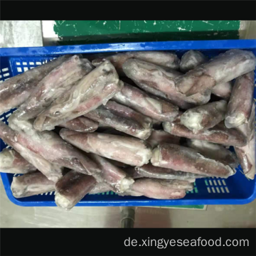 Gefrorener Loligo Chinensis ganzer runder Tintenfisch